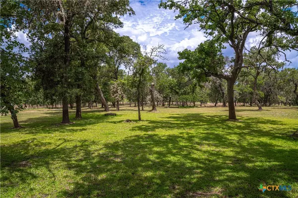 Seguin, TX 78155,2981 Vivroux Ranch RD