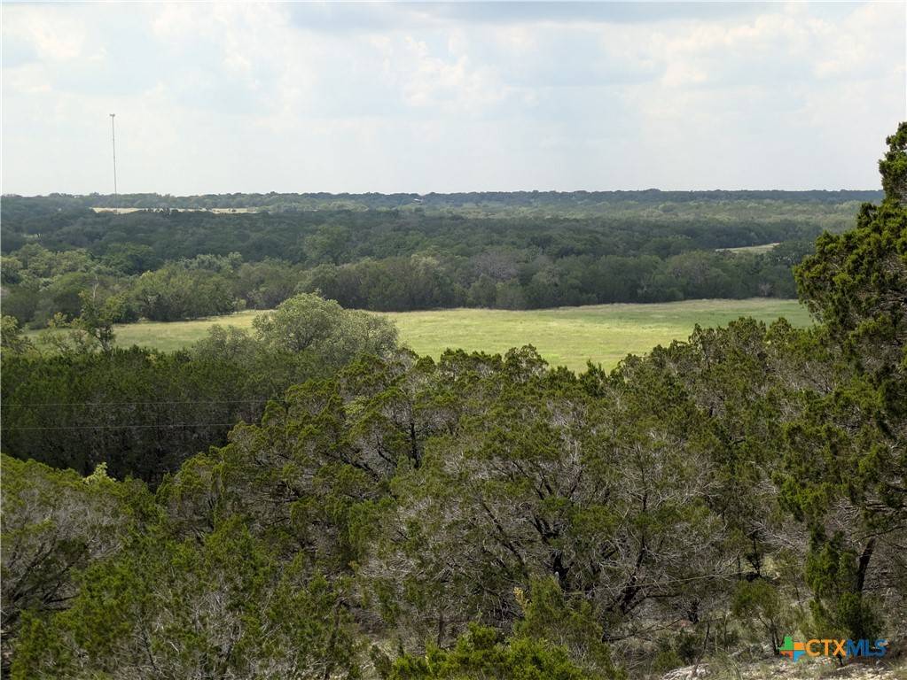 Kempner, TX 76539,Tract 1 County Road 4390