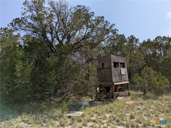 Kempner, TX 76539,Tract 4 County Road 4390