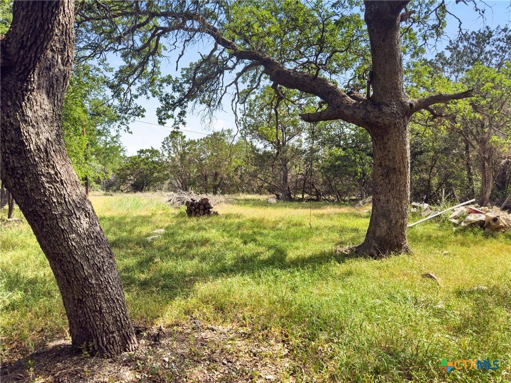 Spring Branch, TX 78070,2525 Cypress Gardens BLVD