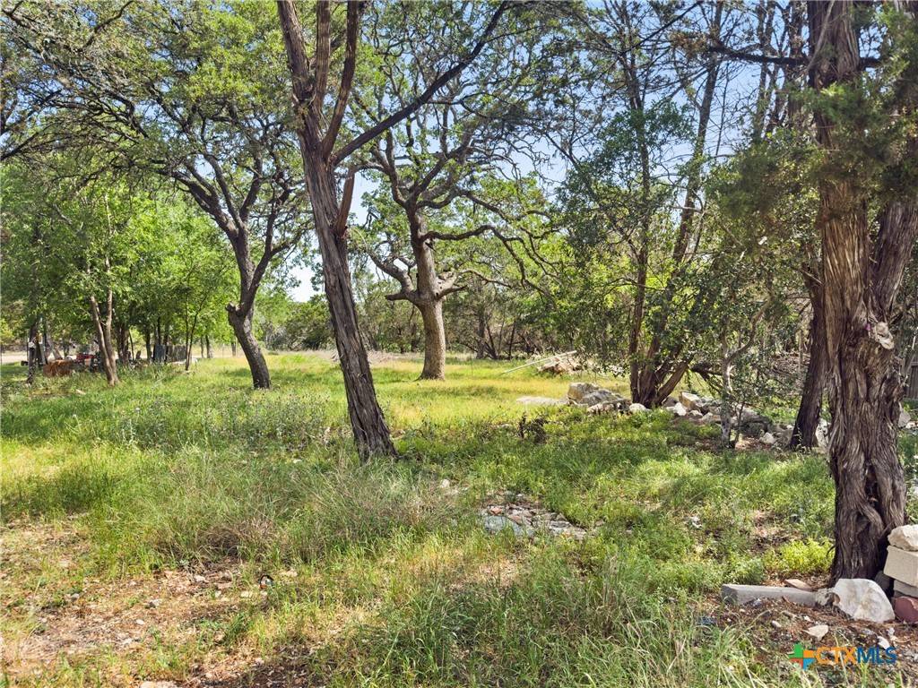 Spring Branch, TX 78070,2525 Cypress Gardens BLVD