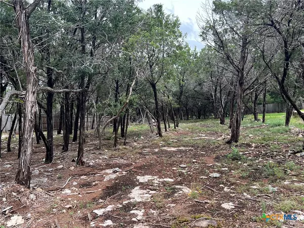 Temple, TX 76502,15735 Salado DR