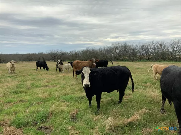 Nixon, TX 78140,Address not disclosed