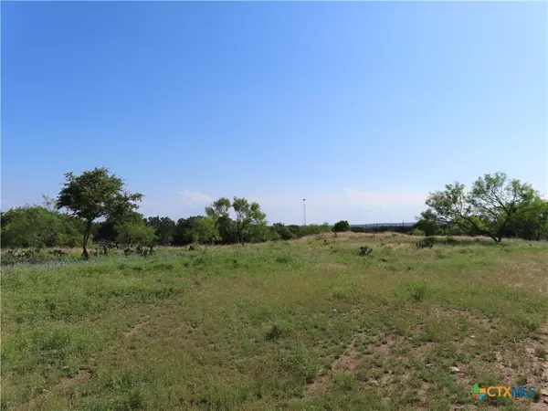 Burnet, TX 78611,TBD County Road 330