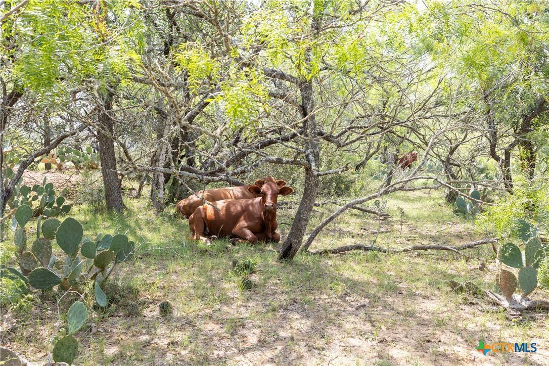 Dale, TX 78616,410 Green Acre DR