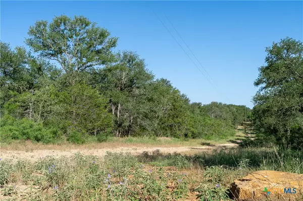 Dale, TX 78616,995 Carter RD