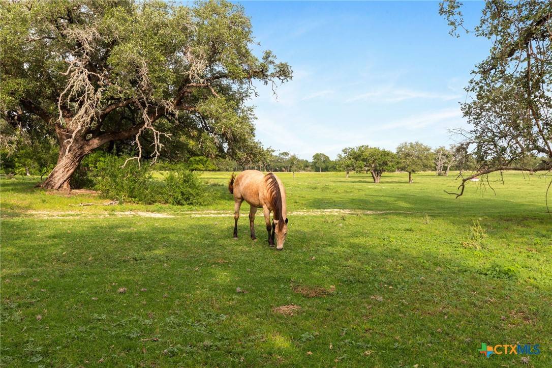 Seguin, TX 78155,TBD E Martindale RD