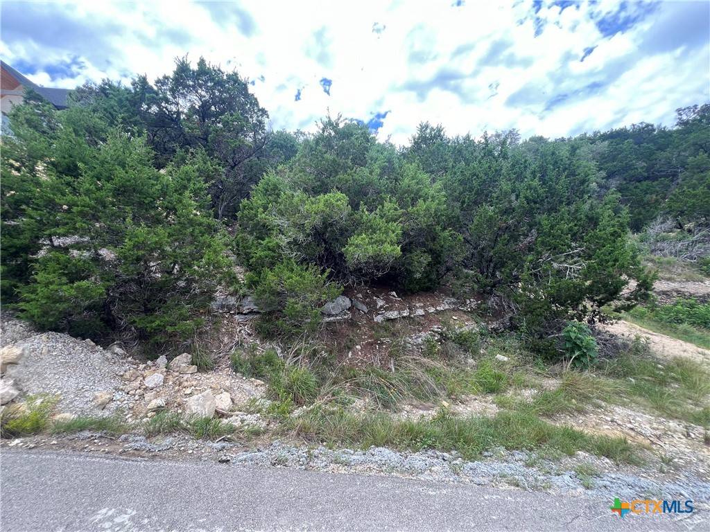 1597 Trail Pass DR, Canyon Lake, TX 78133