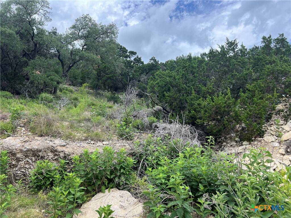 1609 Trail Pass DR, Canyon Lake, TX 78133