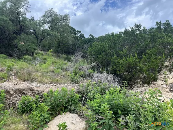 1609 Trail Pass DR, Canyon Lake, TX 78133