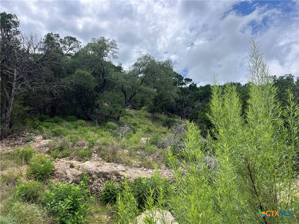 Canyon Lake, TX 78133,1609 Trail Pass DR