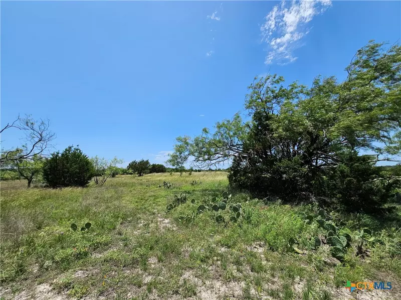 Lot 111 Shin Oak DR, Lampasas, TX 76550