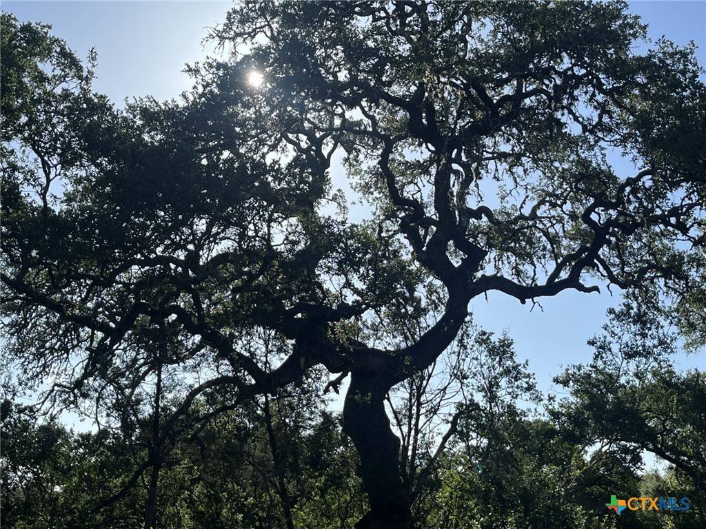 Spring Branch, TX 78070,0 Rolling Creek ST