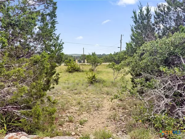Spring Branch, TX 78070,141 Vista View PL