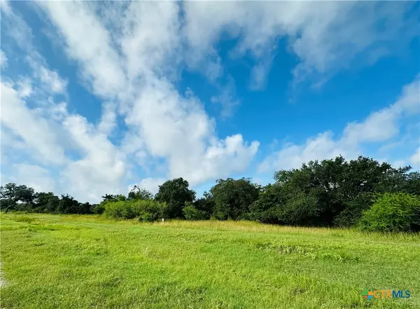 Inez, TX 77968,LOT 10 Sydnie Ranch RD