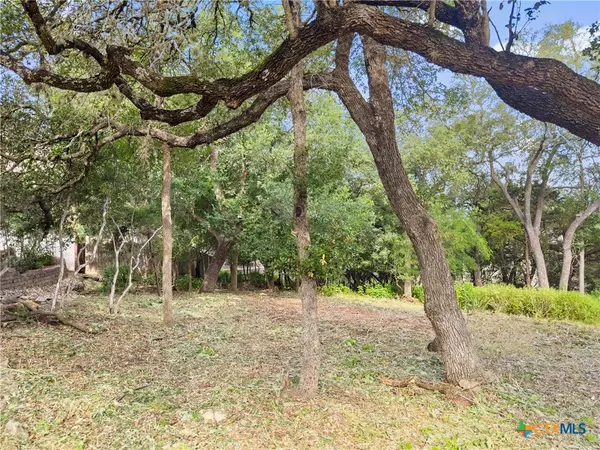 San Marcos, TX 78666,105 Yaupon CT