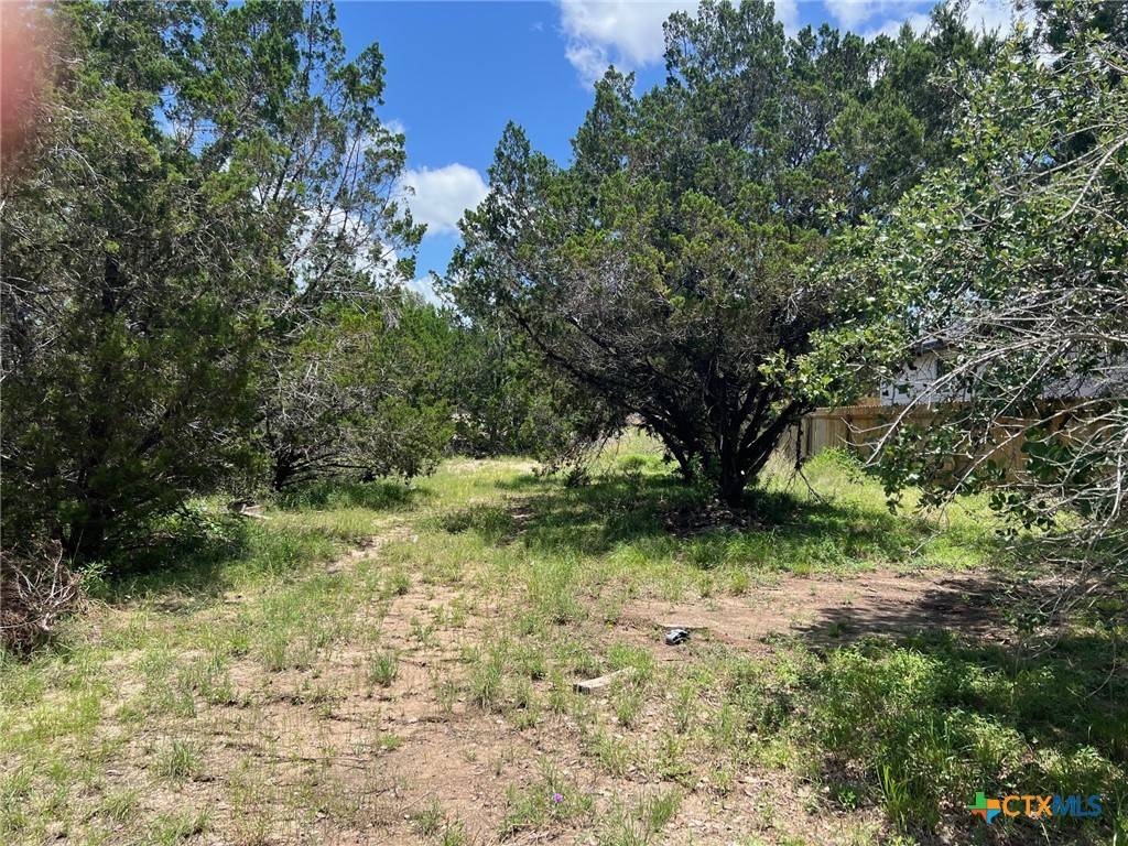 Spring Branch, TX 78070,TBD CHAD WAY