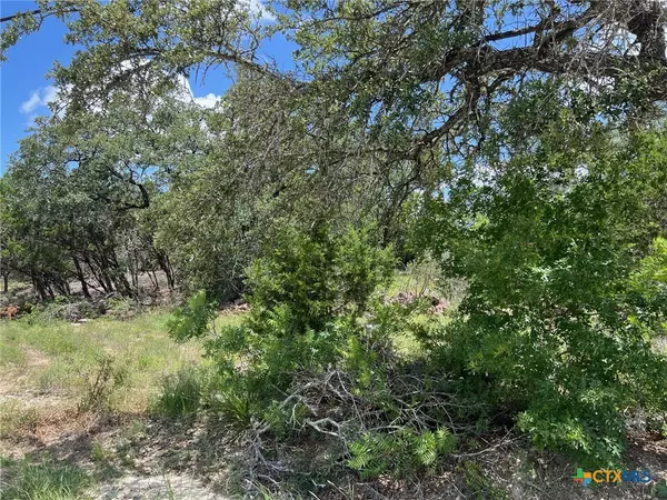 Spring Branch, TX 78070,TBD CHAD WAY