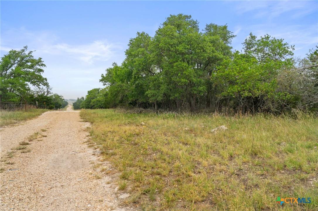 Harper, TX 78631,TBD Mary LN
