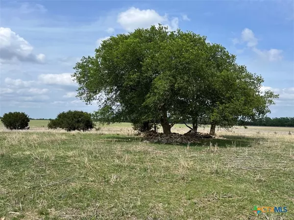 Oglesby, TX 76561,000 County Road 269