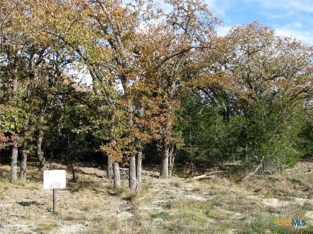 Lot 140 Ph 6 County Road 421, Evant, TX 76566