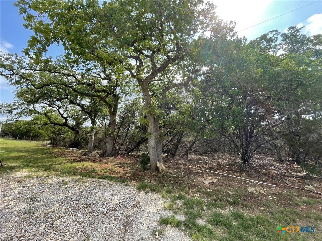 Canyon Lake, TX 78133,22167 Fm-306