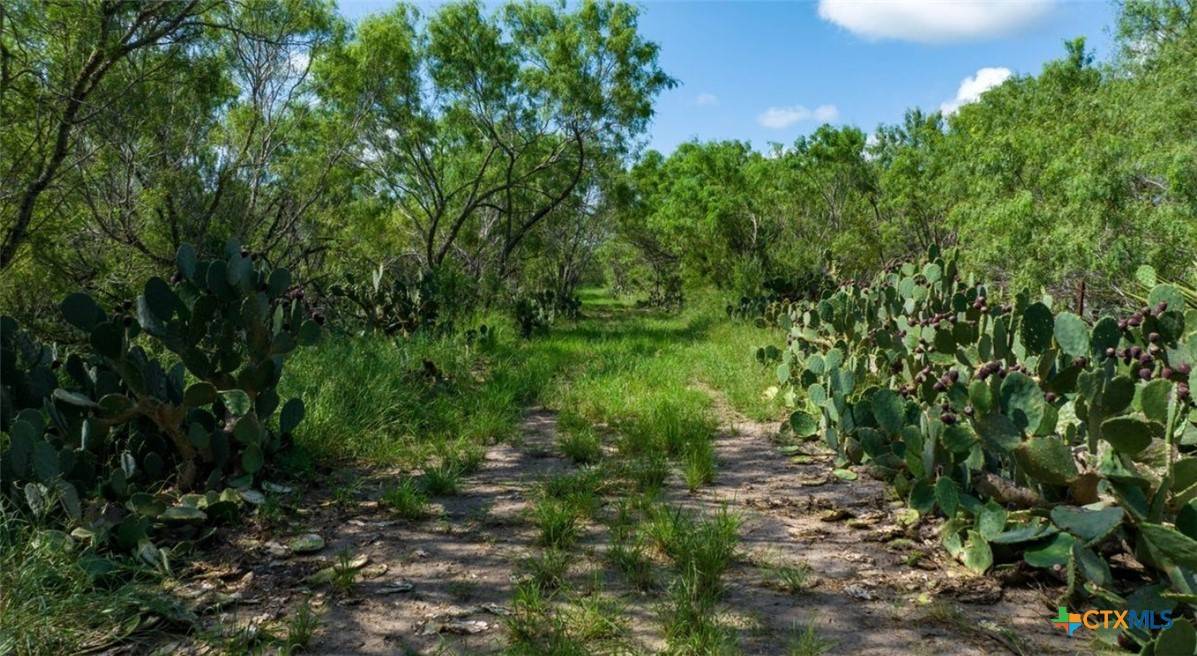Three Rivers, TX 78071,000 County Road 241