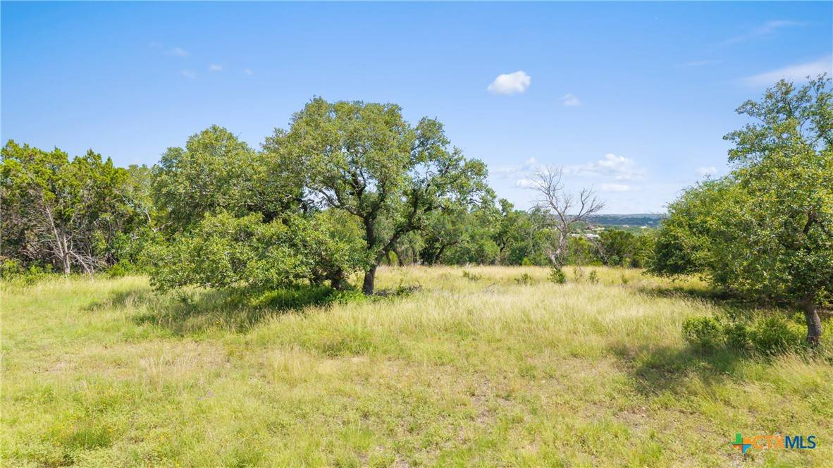 Canyon Lake, TX 78133,2156 Andalusia