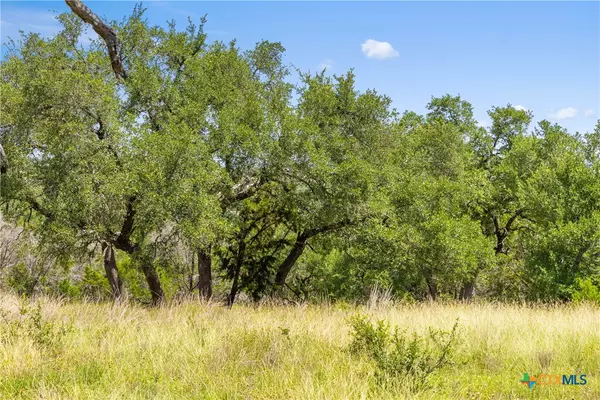 Canyon Lake, TX 78133,2156 Andalusia