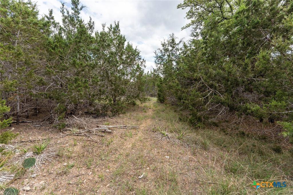 Austin, TX 78737,13921 Nutty Brown RD