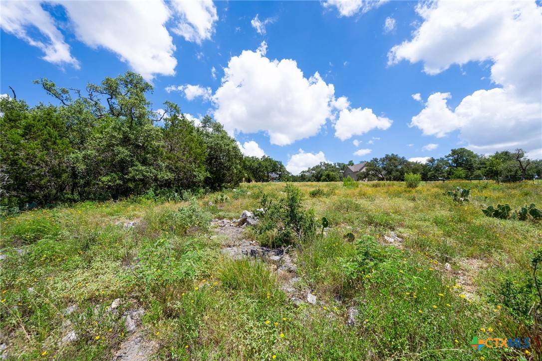 New Braunfels, TX 78132,163 Northridge