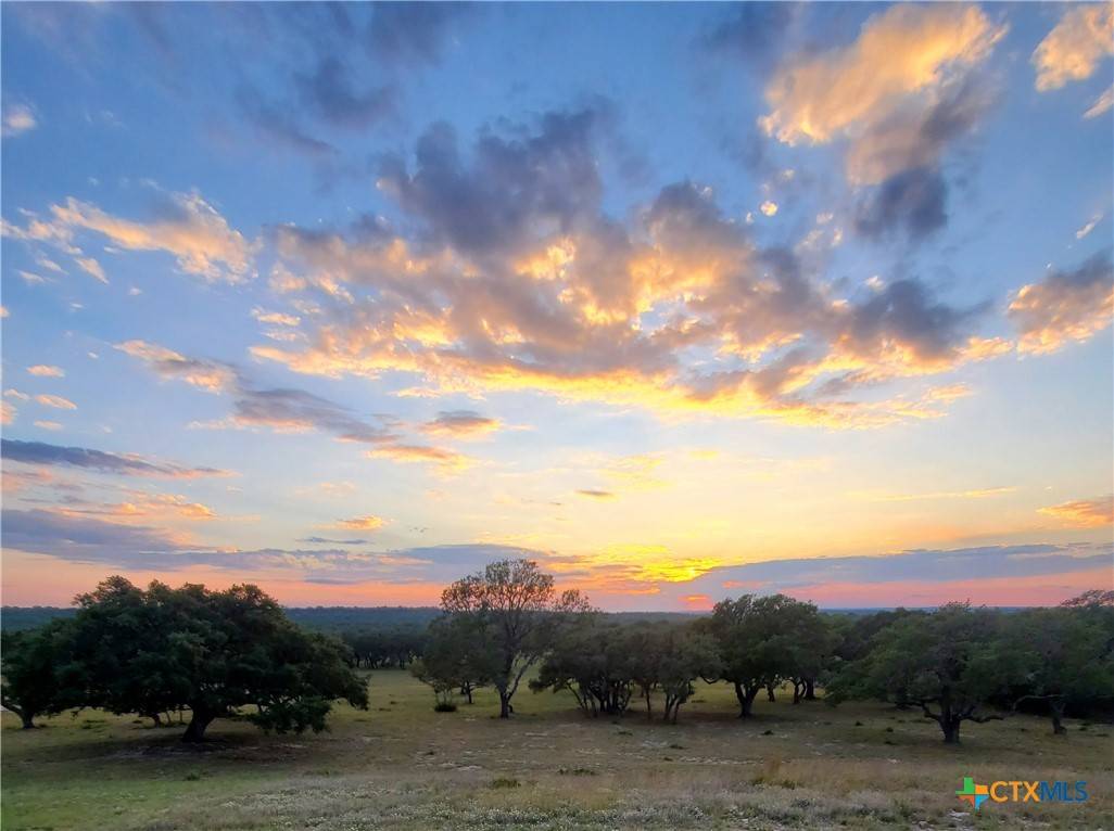 Lampasas, TX 76550,974 Blackbuck Ridge DR