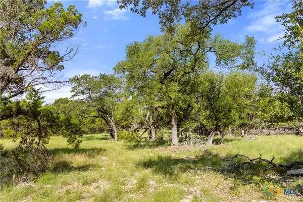 Bulverde, TX 78163,2219 Hiline DR