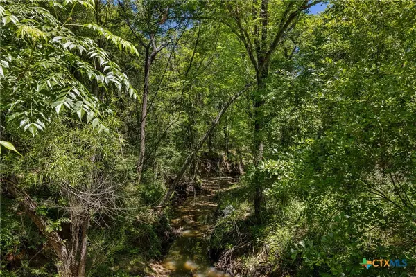 Cameron, TX 76520,Lot 2 TBD CR 270