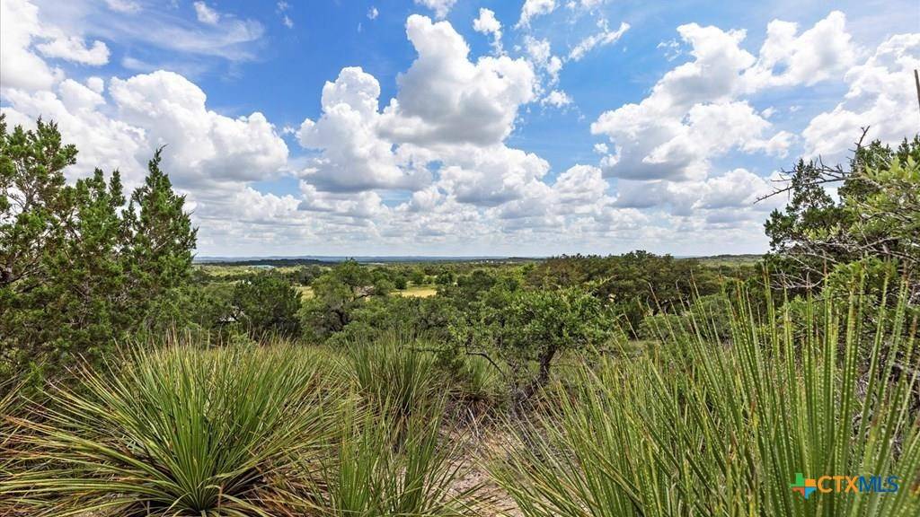 Spring Branch, TX 78070