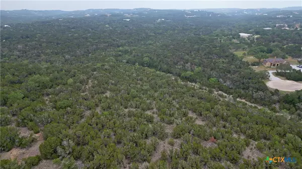 Spring Branch, TX 78070,431 Rosinweed DR