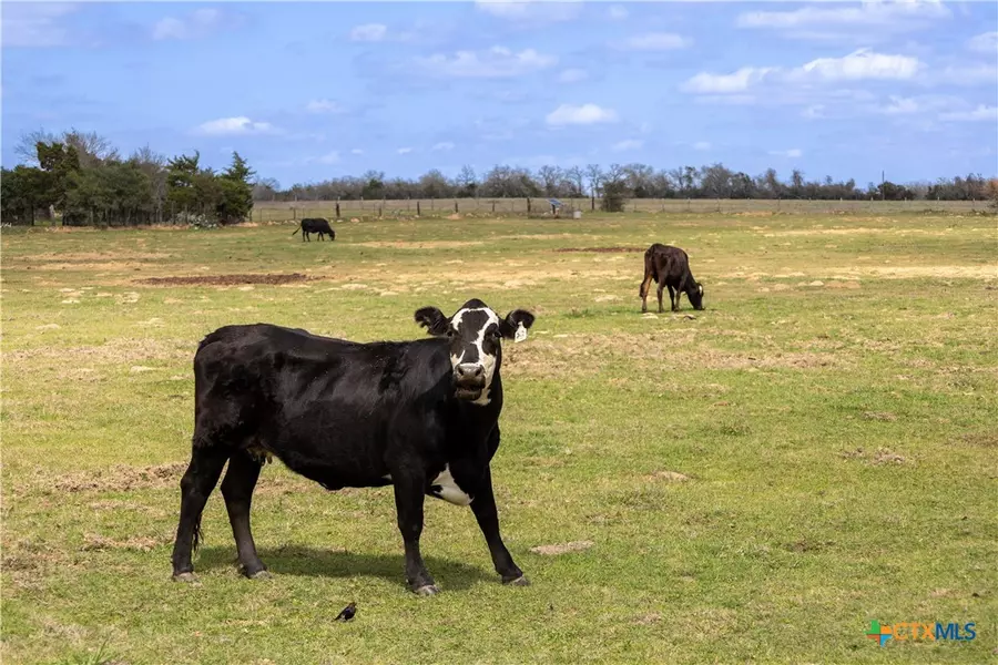 Lot 12 Mule Creek RD, Harwood, TX 78629