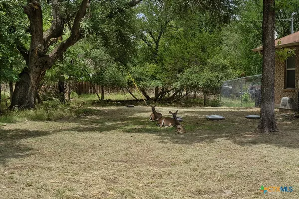 Belton, TX 76513,53 Buttercup LOOP