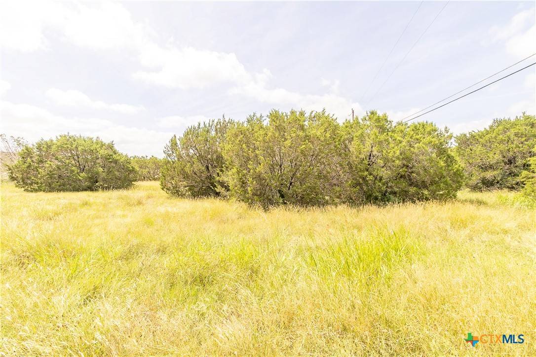 Lometa, TX 76853,412 Mulberry ST