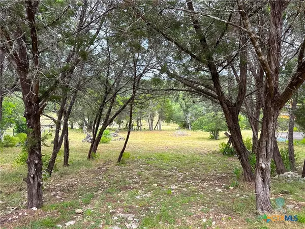 Canyon Lake, TX 78133,659 Spanish Oak Esplanade