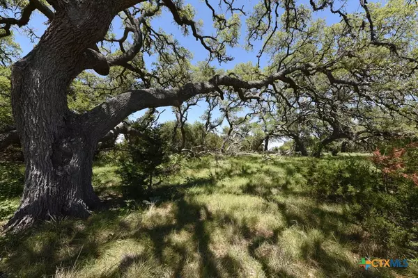 Spring Branch, TX 78070,431 Oak Haven