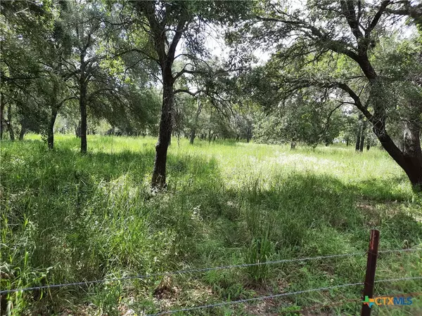 Kingsbury, TX 78638,274 Kristine LN