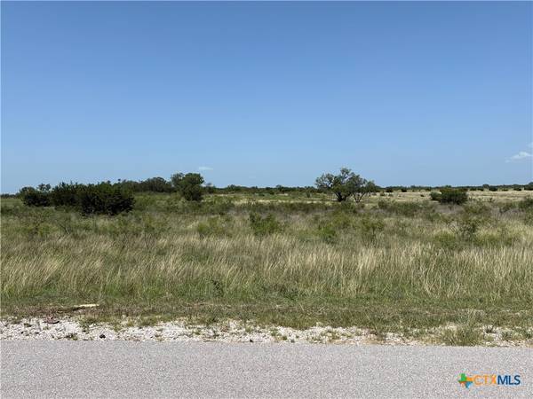 Lot 4 Homestead DR, Lampasas, TX 76550