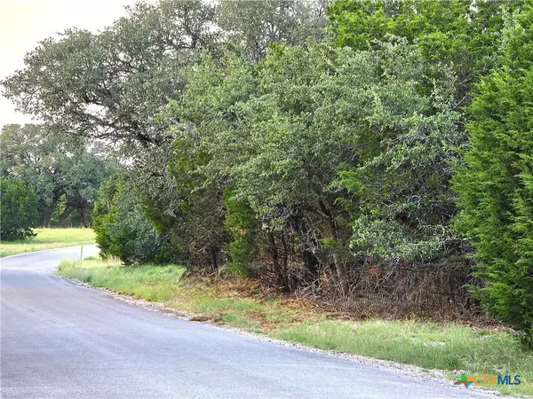 Burnet, TX 78611,TBD CR 206