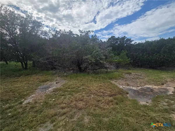 5236 Comanche DR, Temple, TX 76502