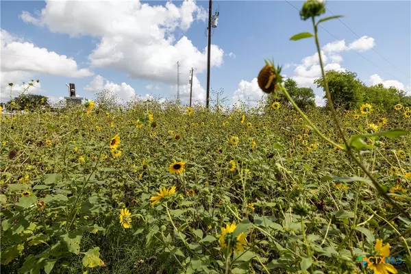 Luling, TX 78648,3837 Callihan RD