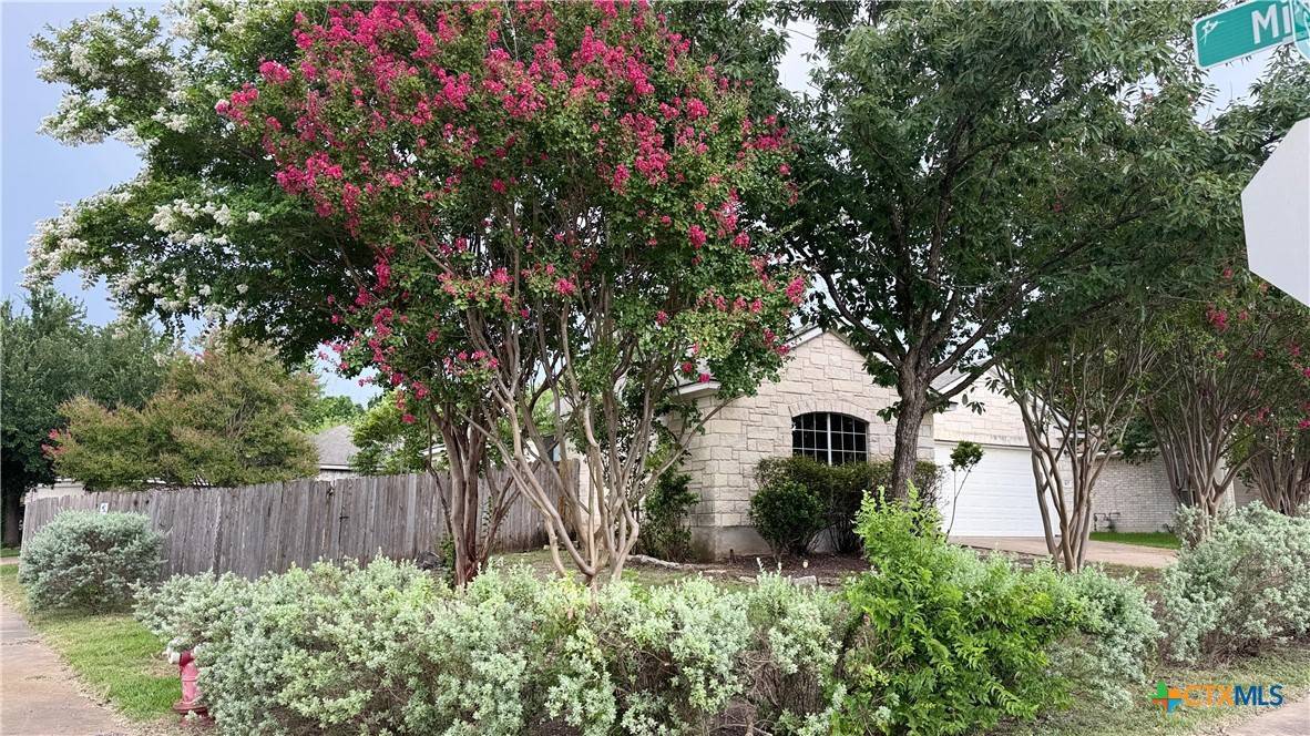 Round Rock, TX 78664,507 Sweetgum CV