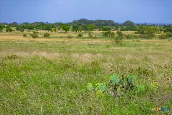 Bertram, TX 78605,Tract 1 FM 243