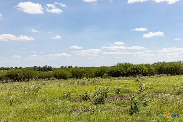 Hallettsville, TX 77964,000 County Road 132