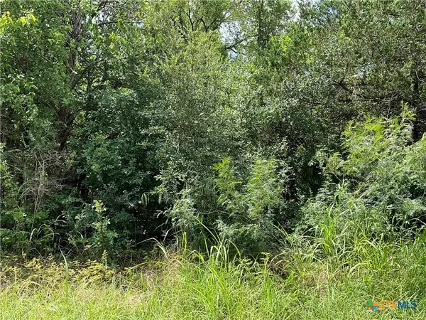 Bastrop, TX 78602,TBD Whippoorwill DR